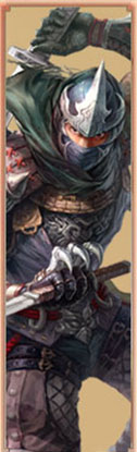 Ninja Class